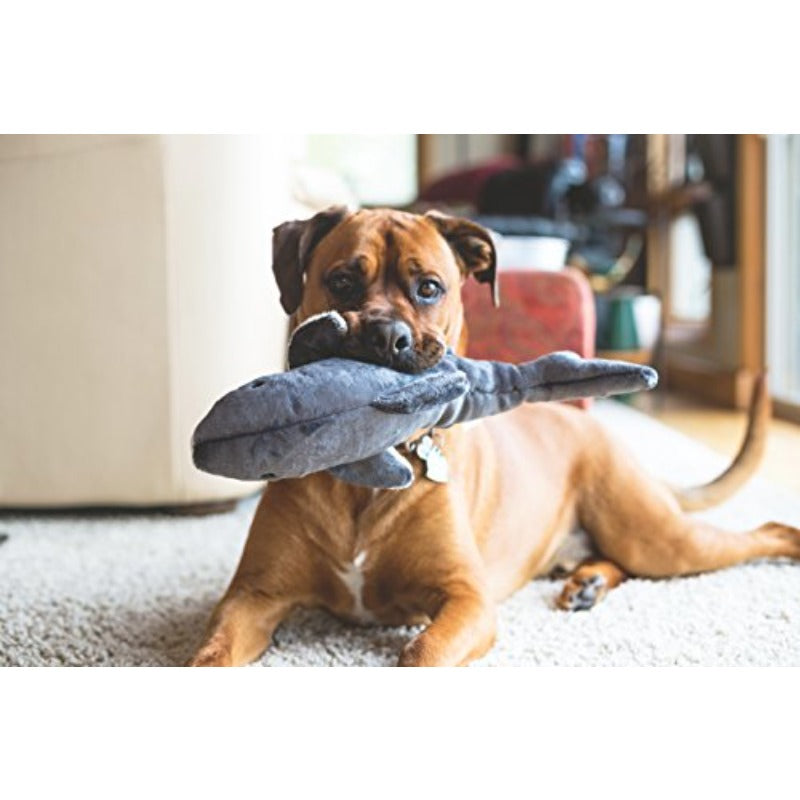 Mac The Shark Suitable for All Breed Sizes, No Battery Required