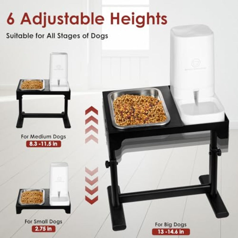 Elevated Dog Bowls with Water Dispenser and 304 Stainl Steel Bowl