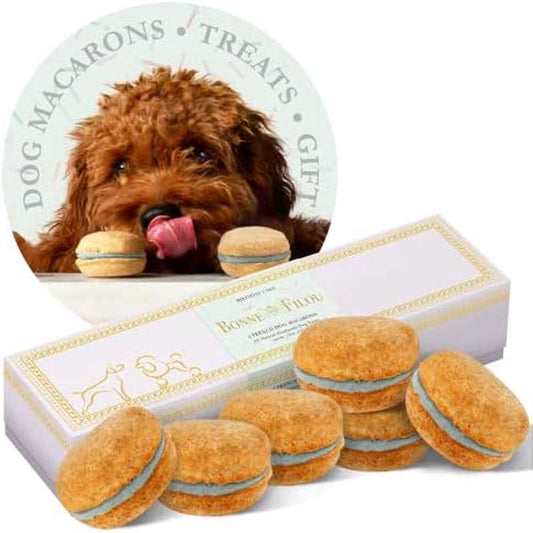 Luxury Handmade Birthday Cake Dog Macarons Trs 3x6 Pack and Big Wine Bottle Dog Plush Toy Barkdy Red Whine Durable Squeaky Interactive Puppy Chew Toys for Aggressive Chewers