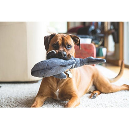 Mac The Shark Suitable for All Breed Sizes, No Battery Required