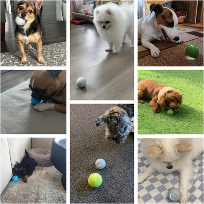 Pet Dog Toy Ball, Bouncy Ball, Smart Mode, Rechargeable Dog Toy Ball