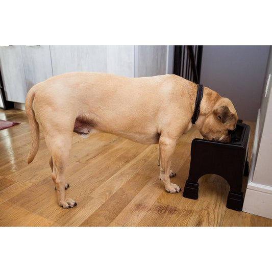 1 Set Elevated Dog Bowl Feeder for Pugs,, Flat-Faced Dogs - Vet-Recommended -Neck Strain Feeding System with Dish, Promotes Healthy Digestion & Posture for short-Nosed Pets