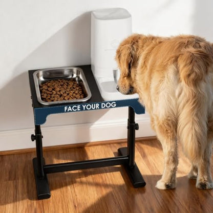Elevated Dog Bowls with Water Dispenser and 304 Stainl Steel Bowl