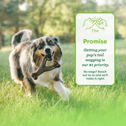 Indestructible Dog Chew Toy for Aggressive Chewers, Long Lasting Tough Boredom Breaker for Dogs, Teething Bone Chew Toys for Large Medium Dogs