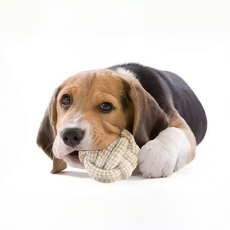 Three-piece Dog Knot Toy | Interactive Molar Chew Toy for Small, Medium, and Large Dogs, Easy to Clean, Training and Entertainment, Polyester Blend