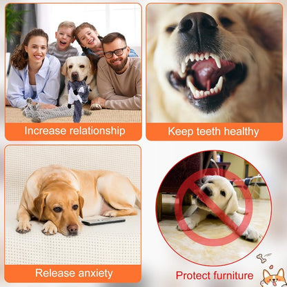 20pcs Bulk No Stuffing Dog Toys Suitable for Aggressive Chewers, Crinkle Teething Chew Plush Chewable Toys with Squeaker for Puppies & Dogs, Chewable Gifts for Small Medium Large Breeds, 20 Styles