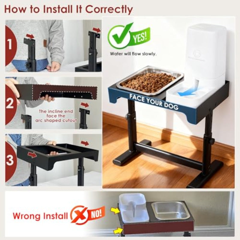 Elevated Dog Bowls with Water Dispenser and 304 Stainl Steel Bowl