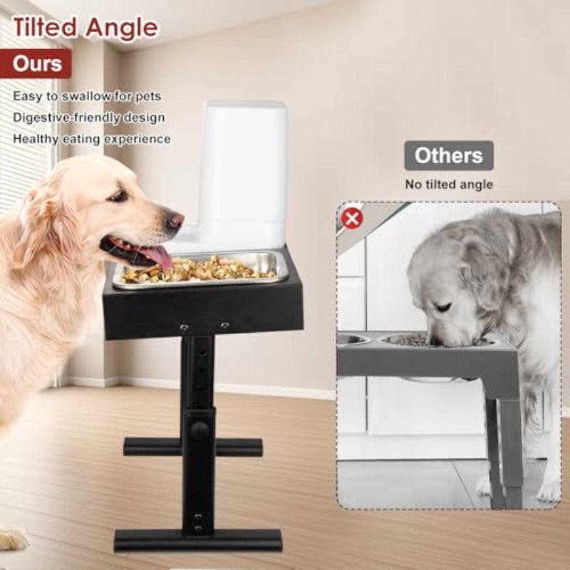 Elevated Dog Bowls with Water Dispenser and 304 Stainl Steel Bowl