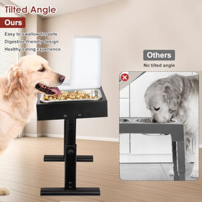 Elevated Dog Bowls with Water Dispenser and 304 Stainl Steel Bowl